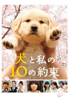 10 Promises to My Dog izle (2008)