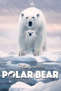 Polar Bear izle (2022)